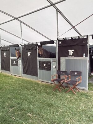 Stable Curtains with Logo