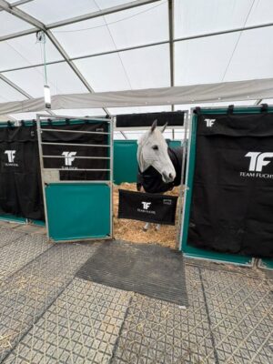 Stable Guards with Logo