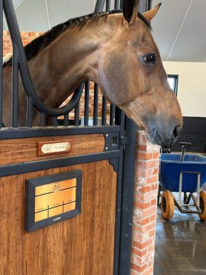 Stable plates