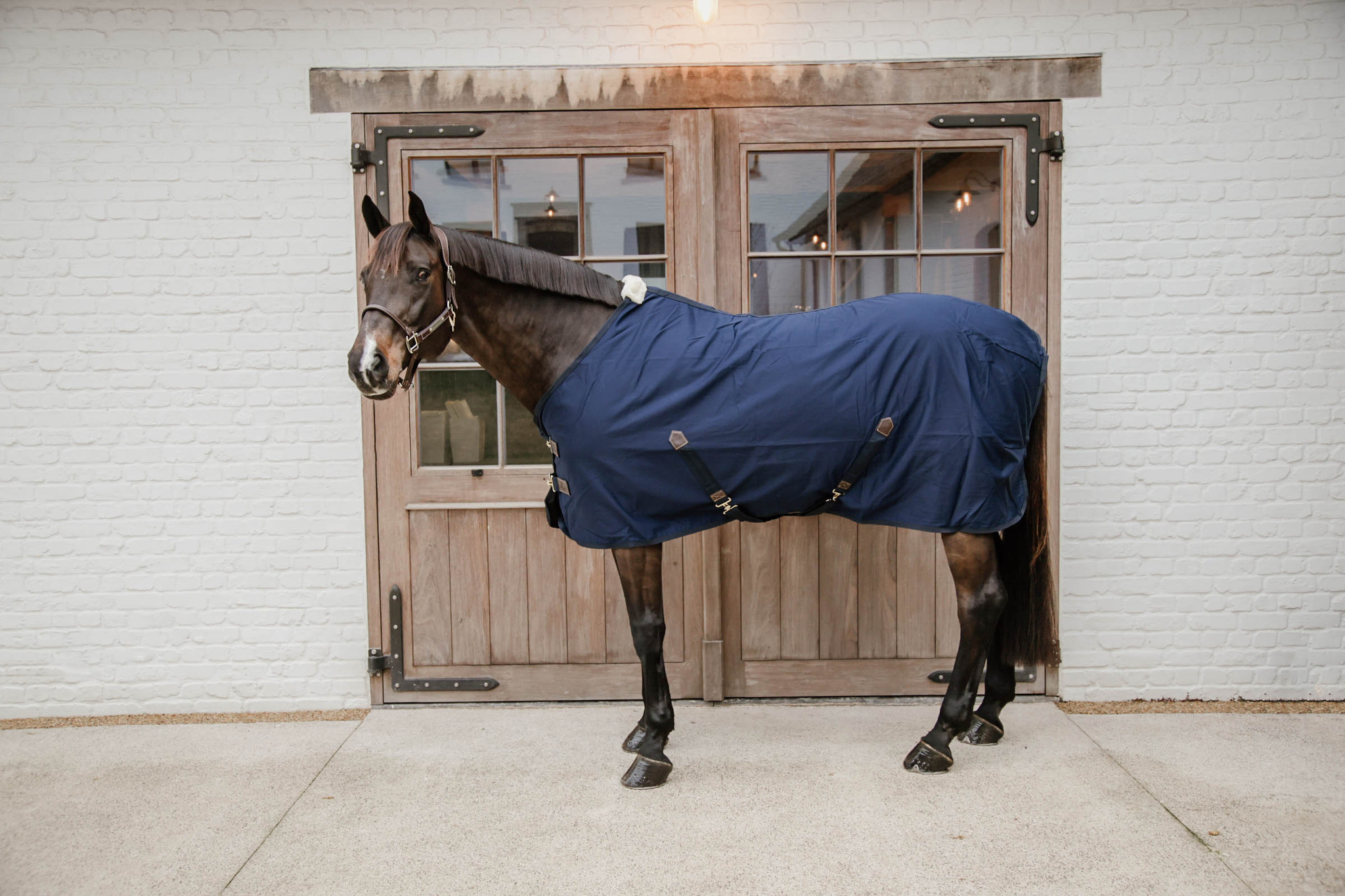 Kentucky Cotton Sheet - Including Custom Embroidery