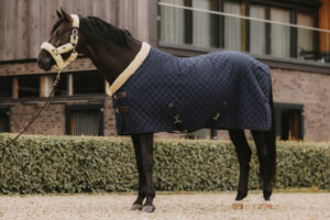 Kentucky Show Rug