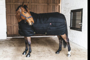 Kentucky Stable Rug Classic