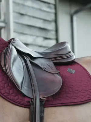 Kentucky Saddlepad Classic