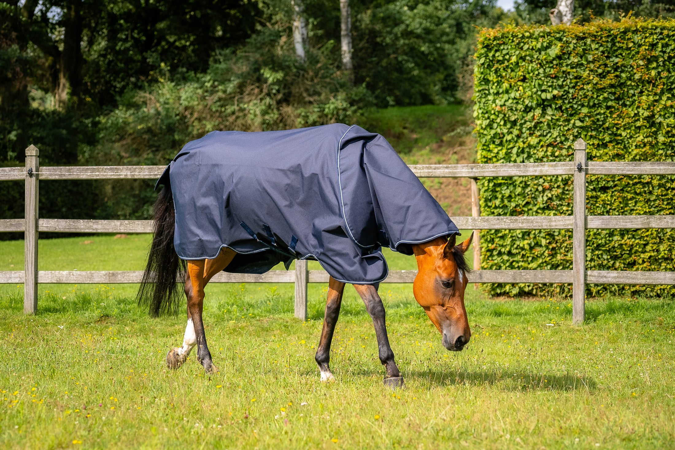 Aloga Pro Turnout 350G & Hood - Including Custom Embroidery