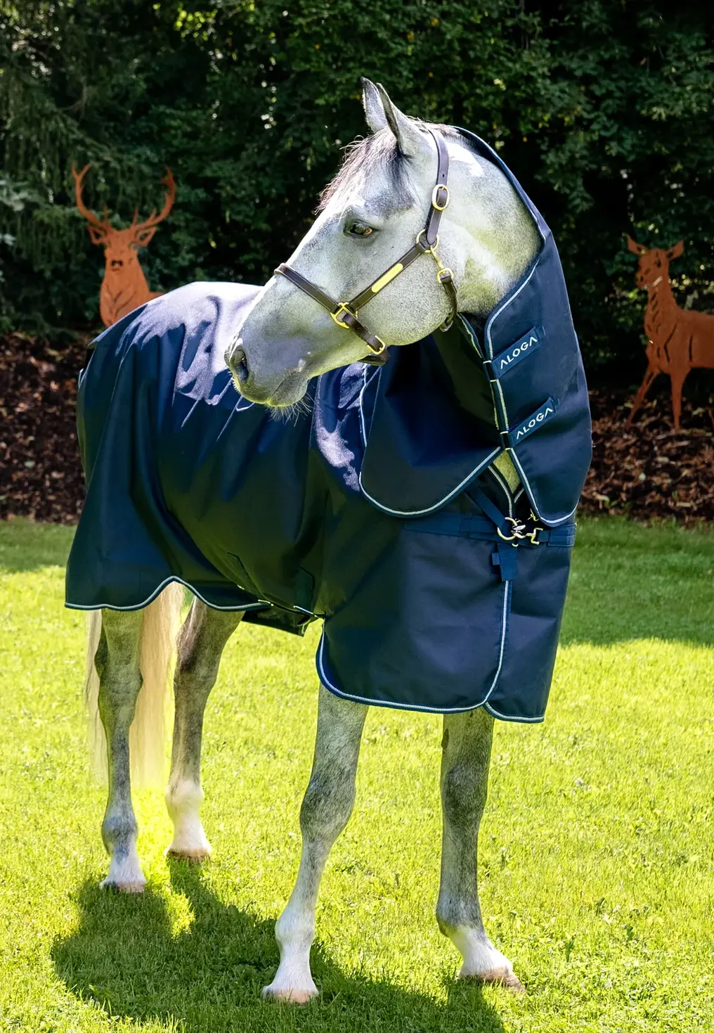 Aloga Pro Turnout 350G & Hood - Including Custom Embroidery