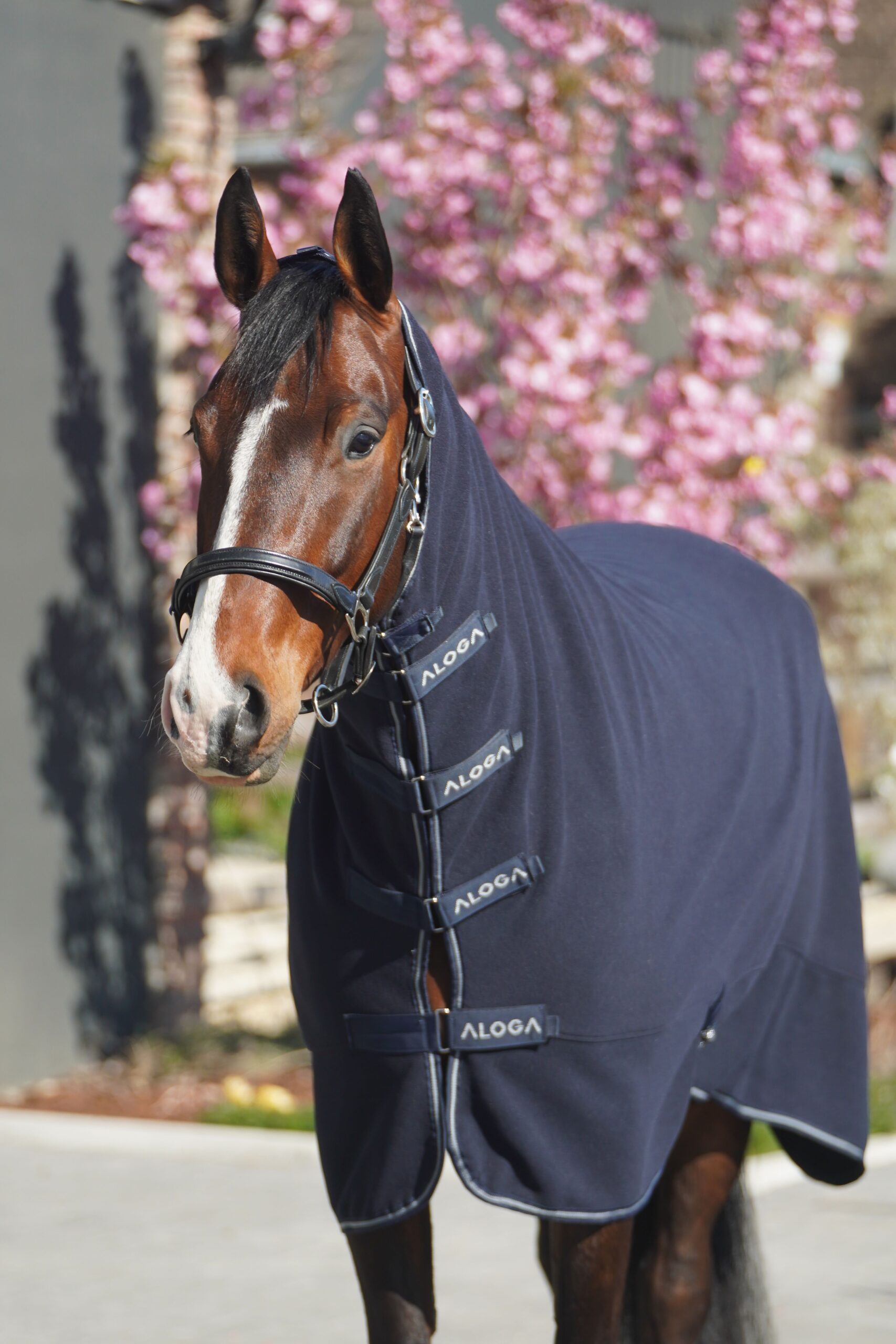 Aloga Full Body Fleece Blanket - Including Custom Embroidery