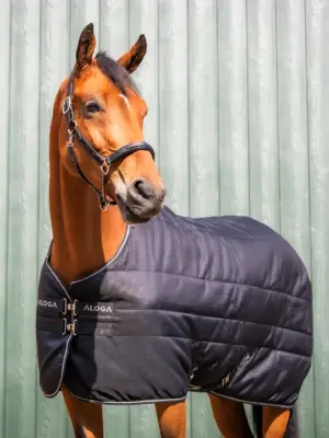 Aloga Pro Stable 200G & Hood