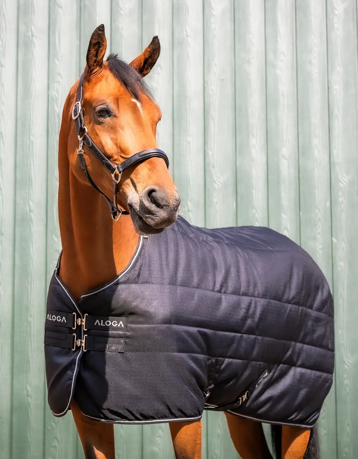 Aloga Pro Stable 200G & Hood - Including Custom Embroidery