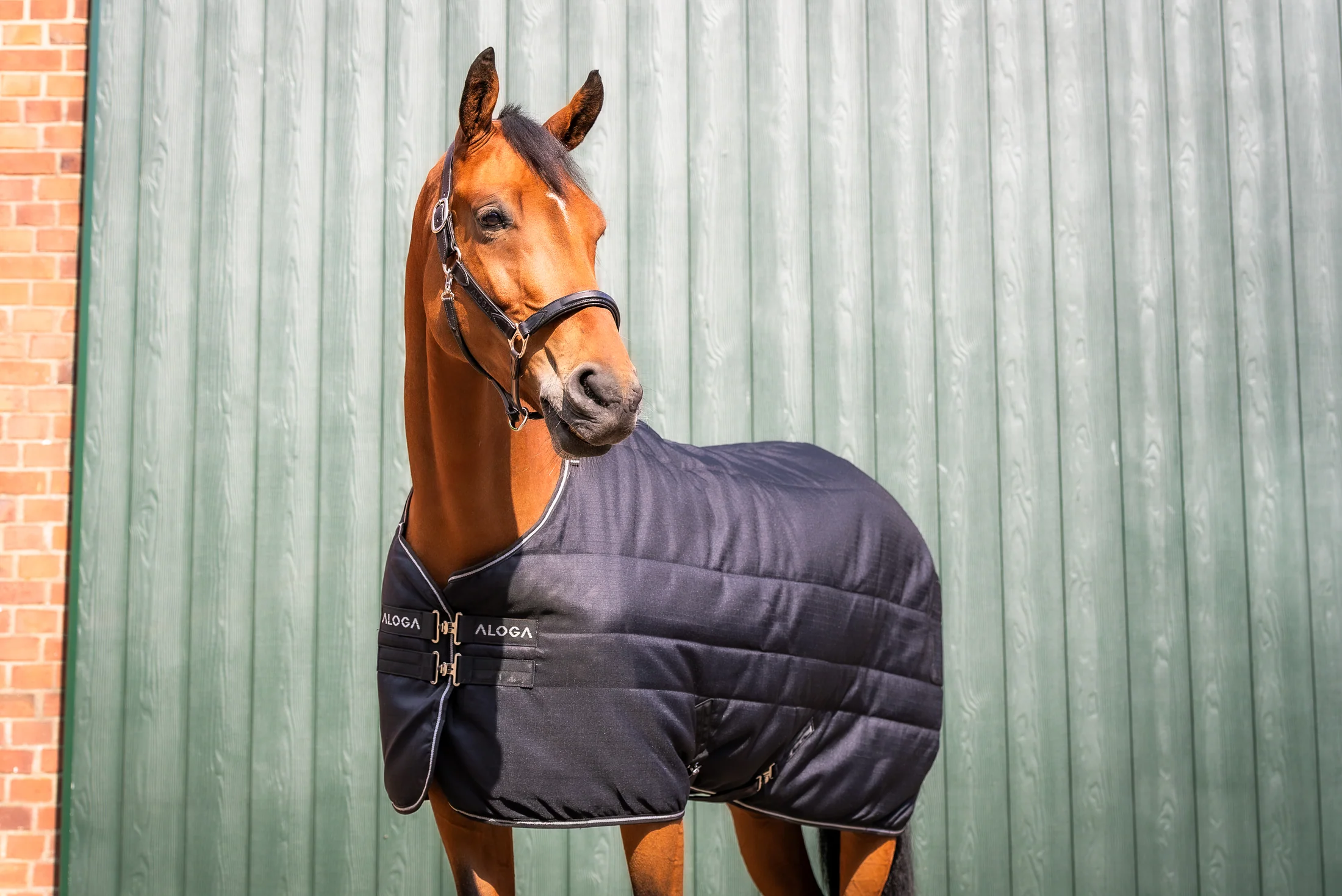 Aloga Pro Stable 200G & Hood - Including Custom Embroidery