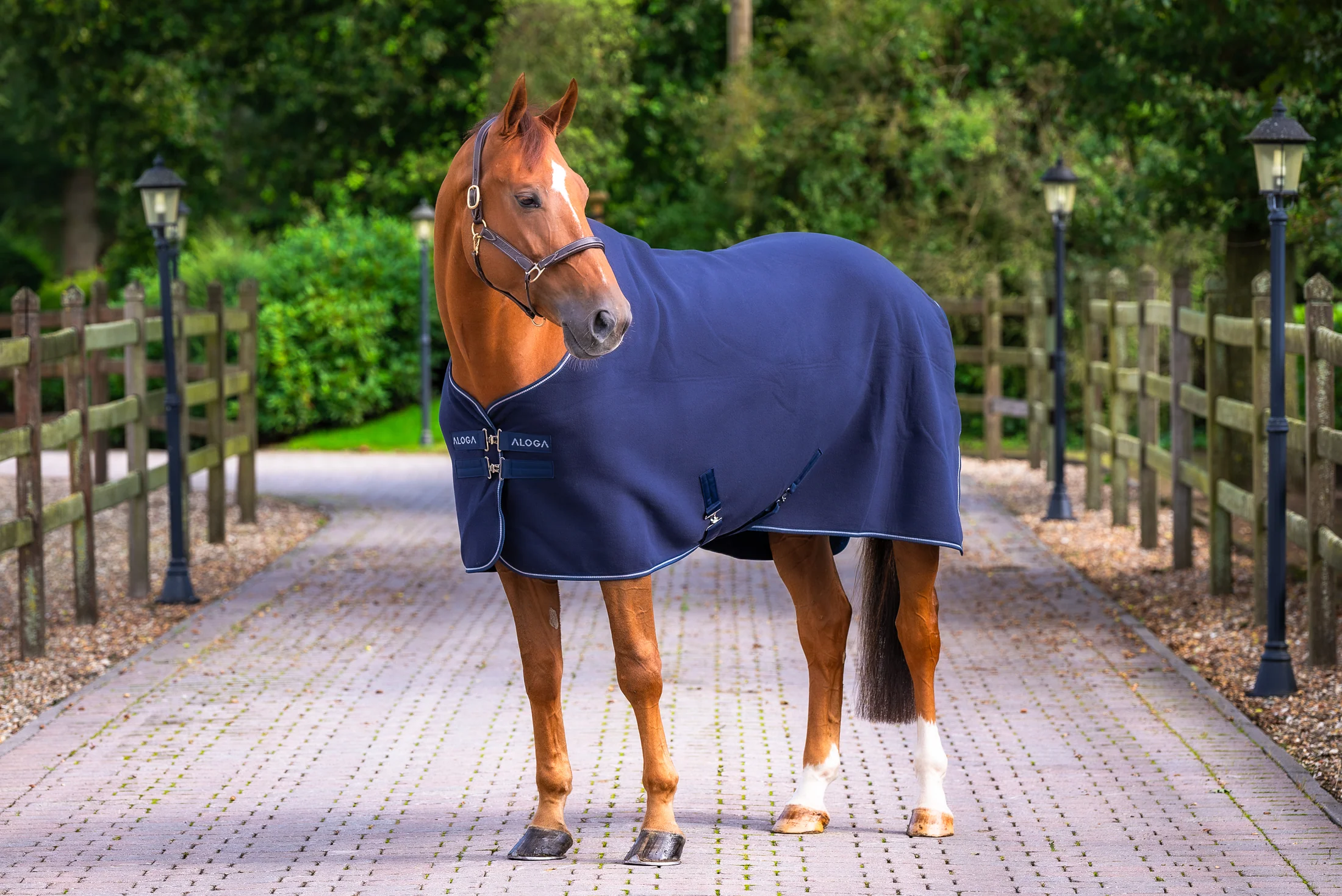 Aloga Pro Fleece Blanket - Including Custom Embroidery