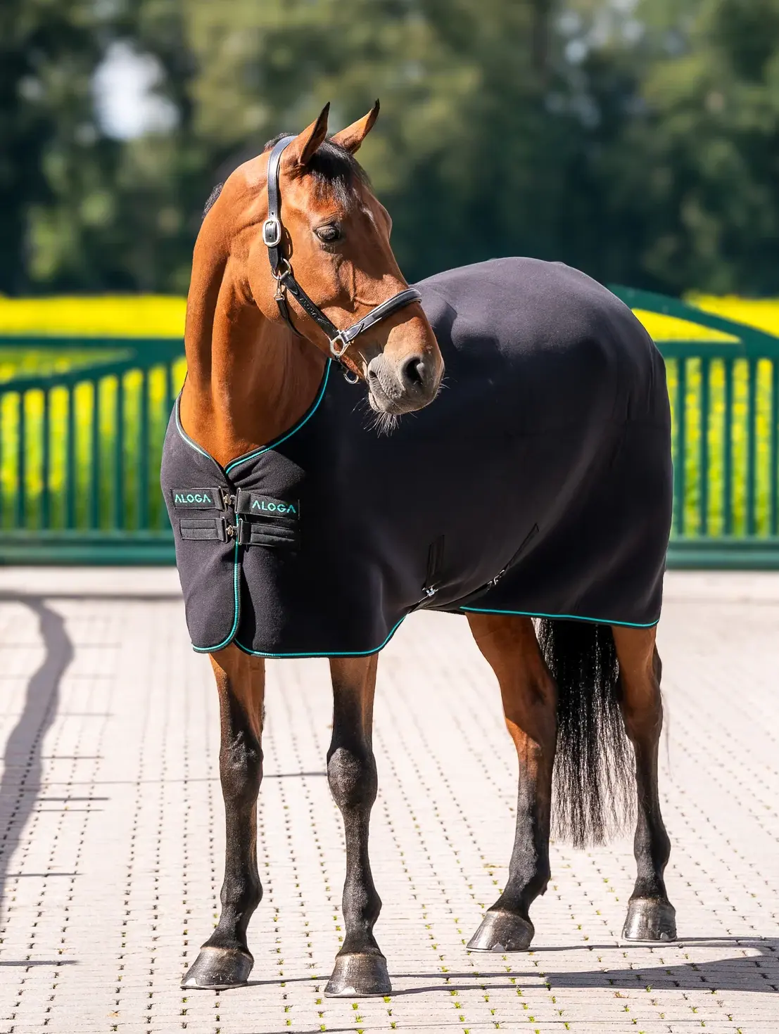 Aloga Pro Fleece Blanket - Including Custom Embroidery