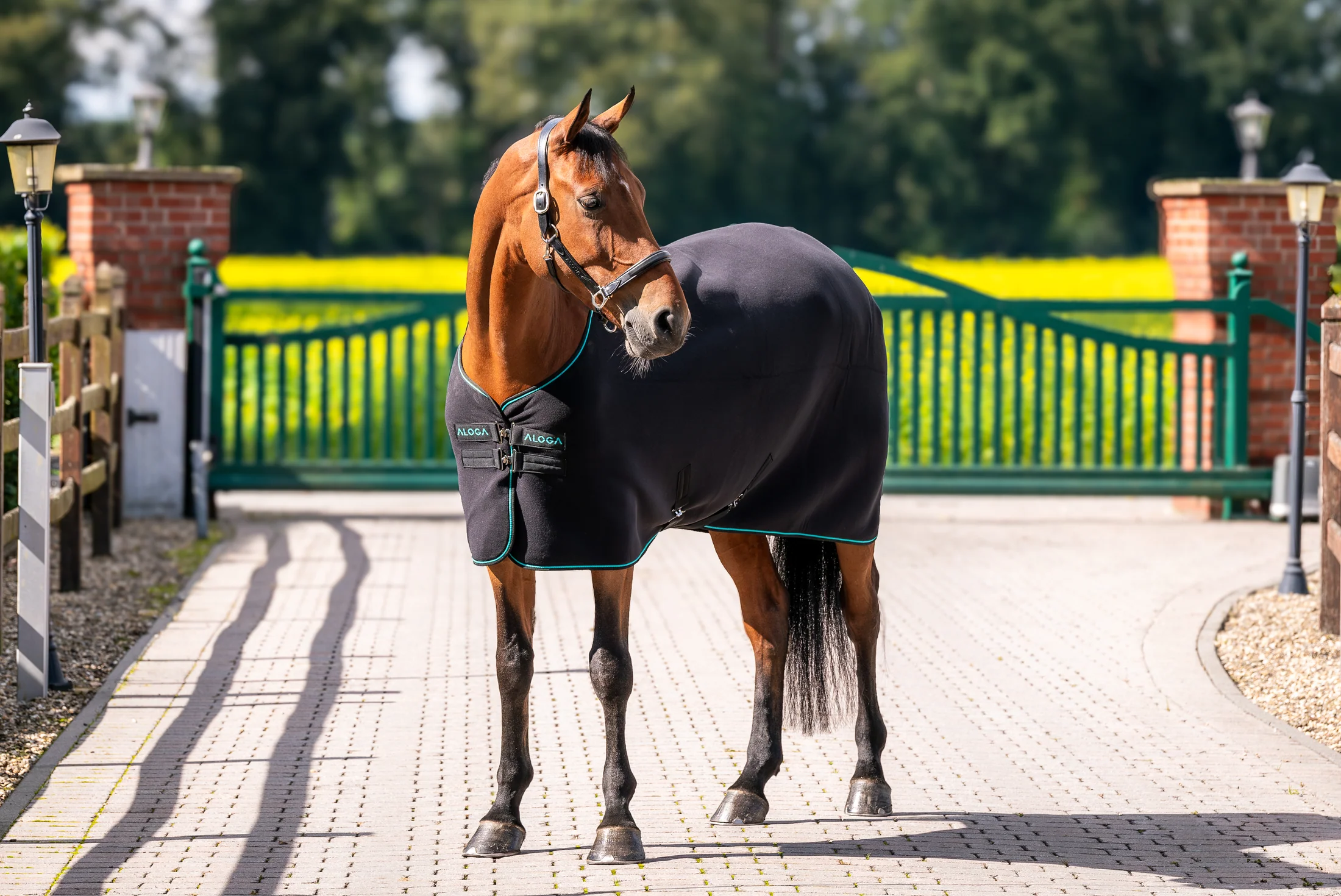 Aloga Pro Fleece Blanket - Including Custom Embroidery