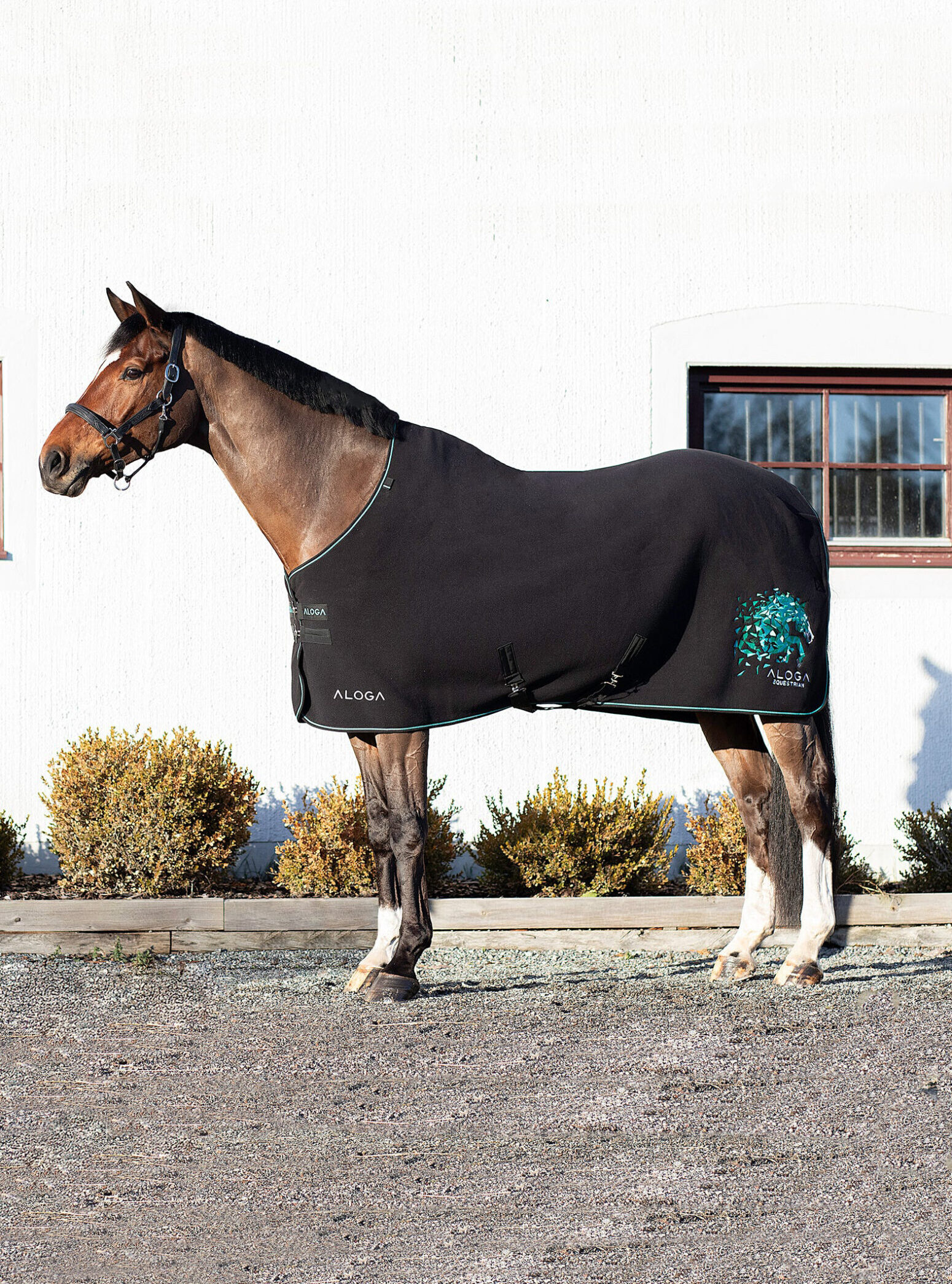 Aloga Pro Fleece Limited Edition