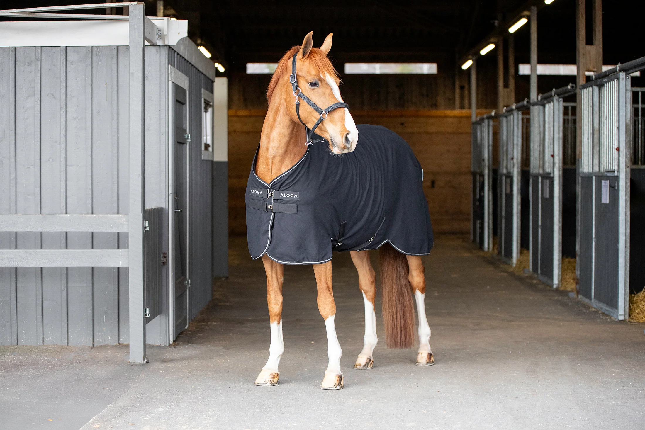 Aloga Versatile Sheet - Including Custom Embroidery