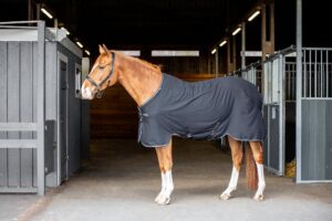 Aloga Versatile Sheet