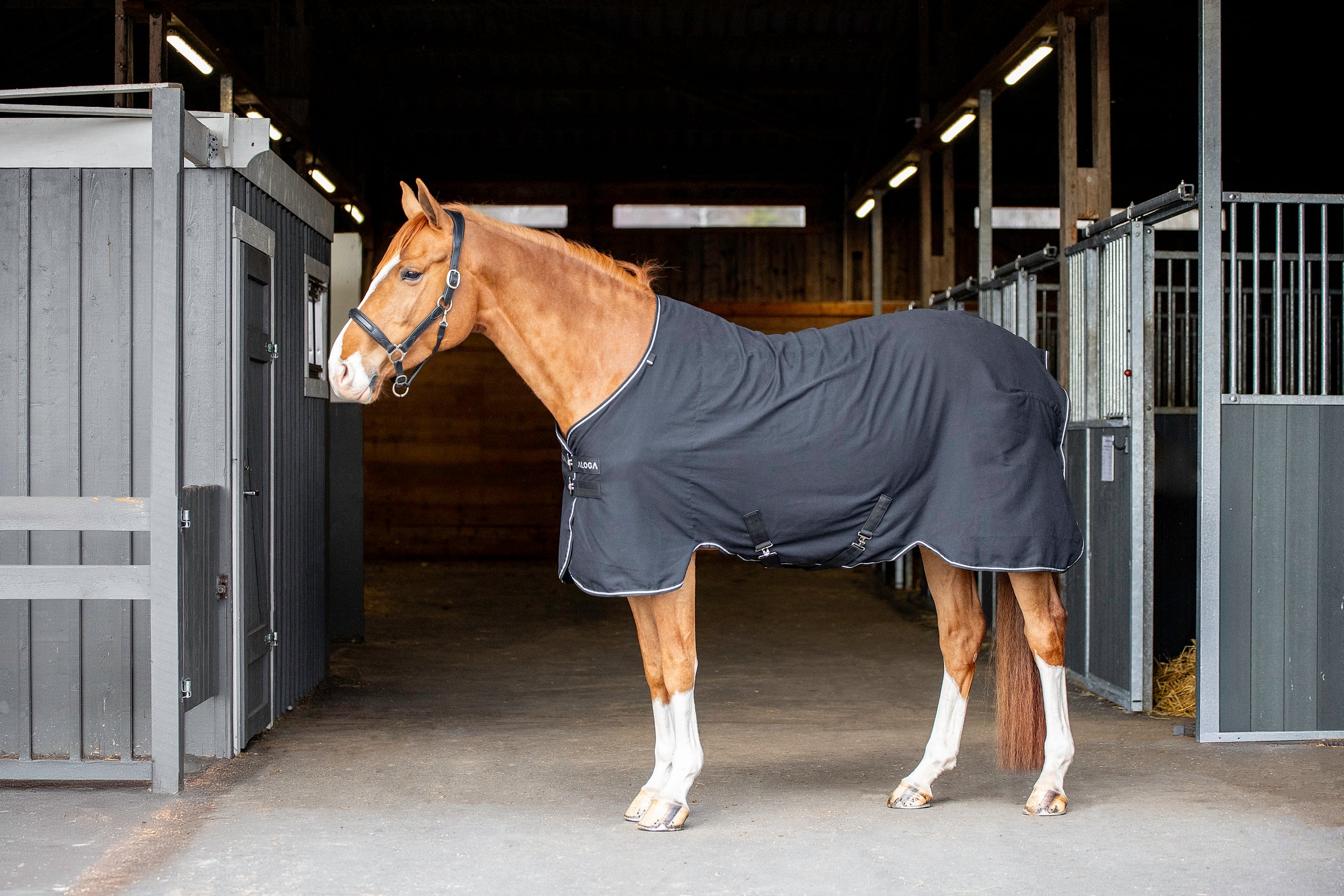 Aloga Versatile Sheet - Including Custom Embroidery