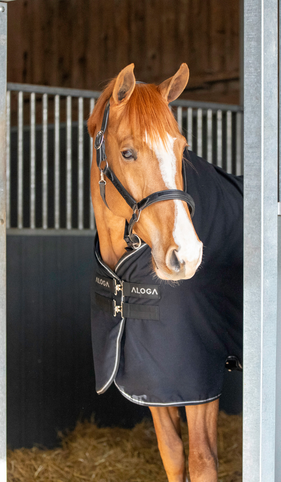 Aloga Versatile Sheet - Including Custom Embroidery