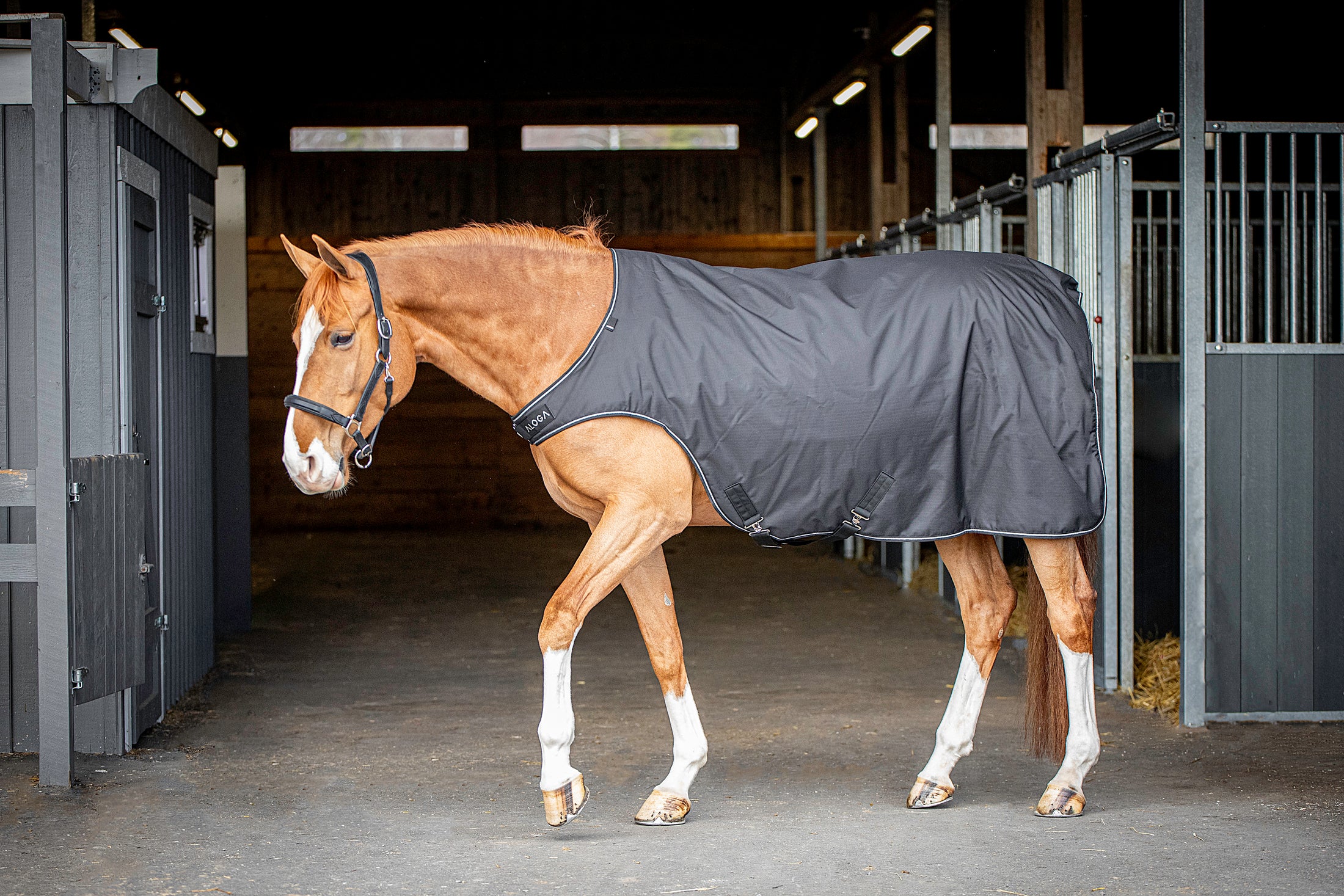 Aloga Walker Blanket - Including Custom Embroidery