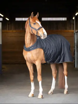 Aloga Walker Blanket