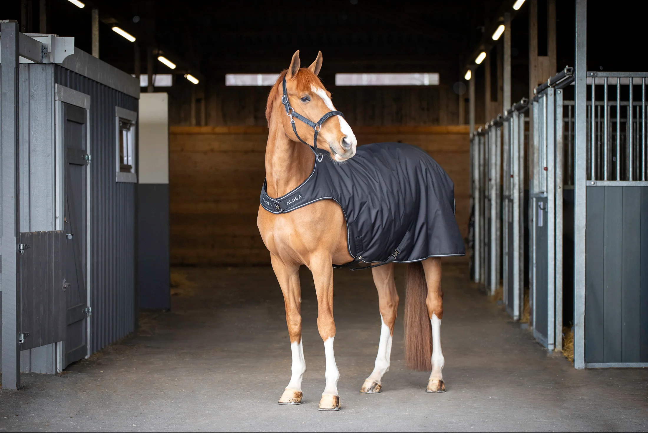 Aloga Walker Blanket - Including Custom Embroidery