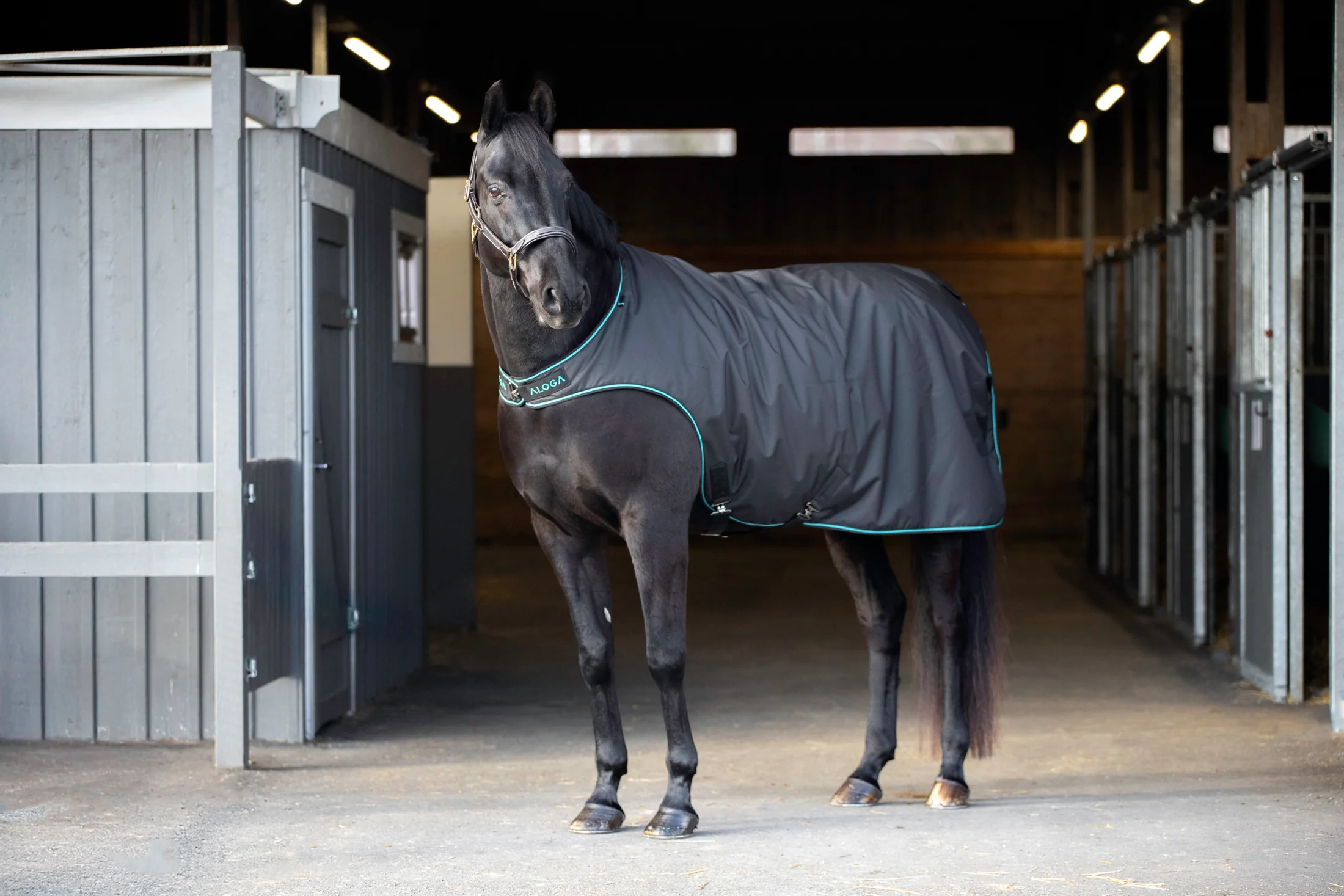 Aloga Walker Blanket - Including Custom Embroidery