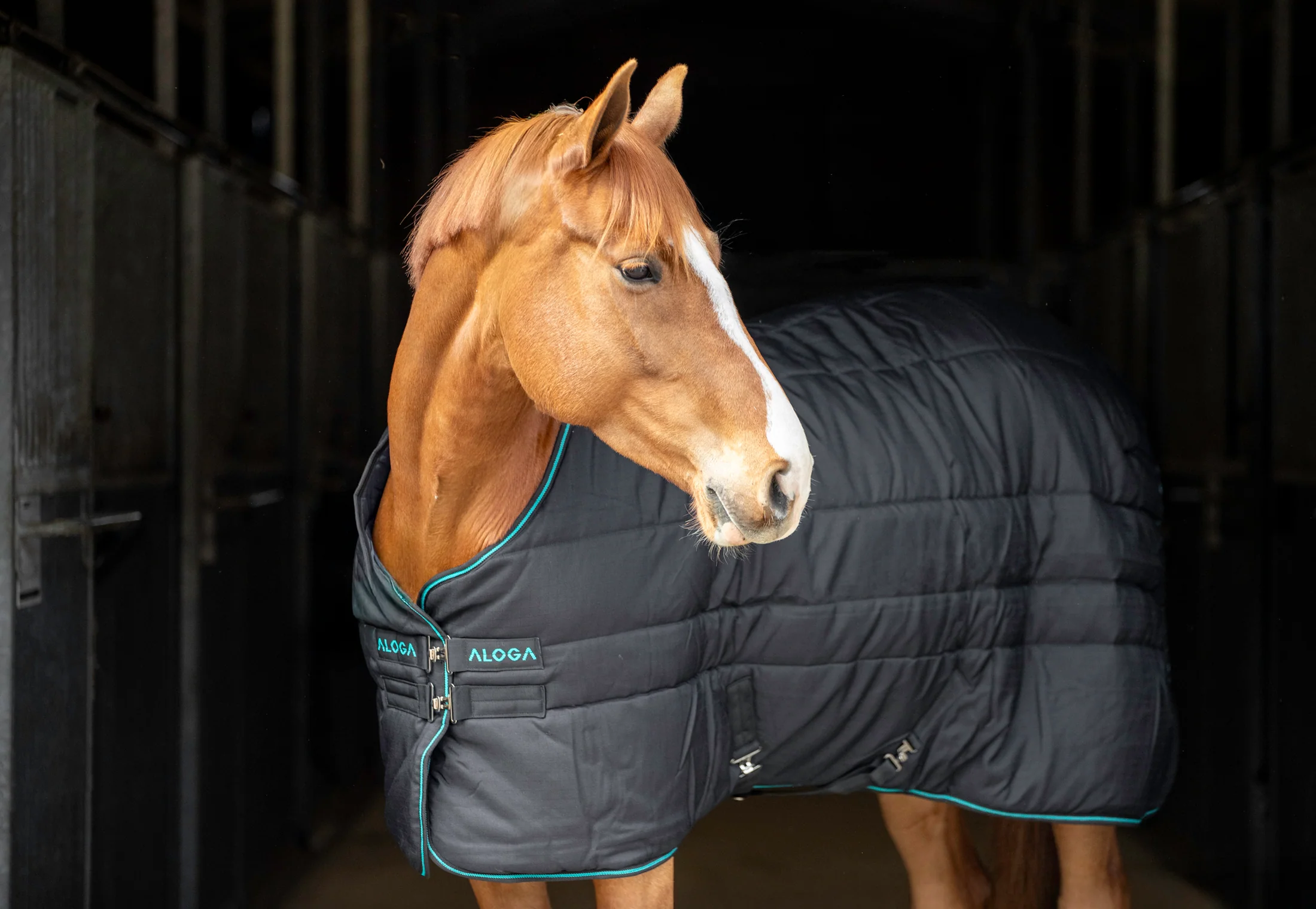 Aloga Pro Stable 200G & Hood - Including Custom Embroidery