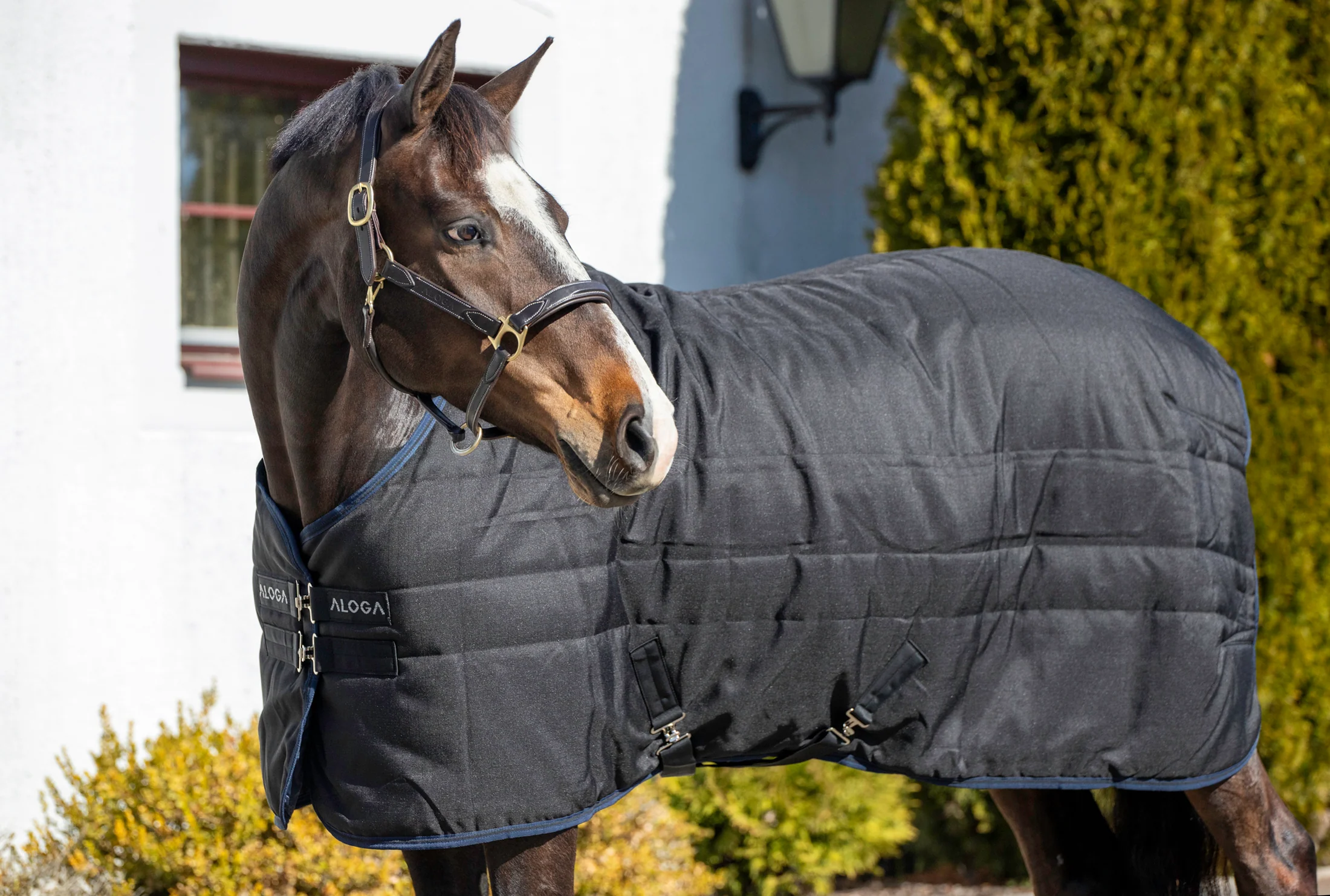 Aloga Pro Stable 200G & Hood - Including Custom Embroidery