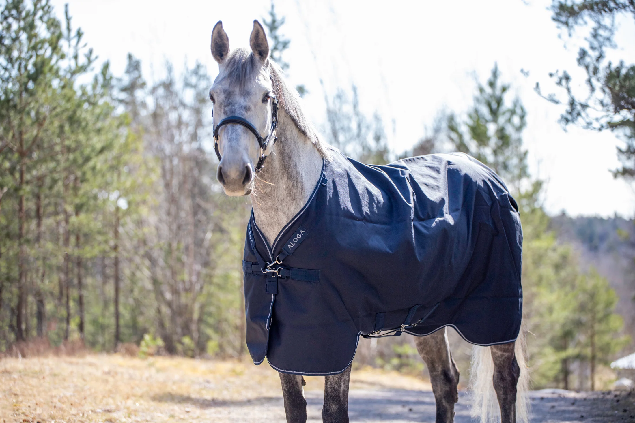 Aloga Pro Turnout 0G - Including Custom Embroidery