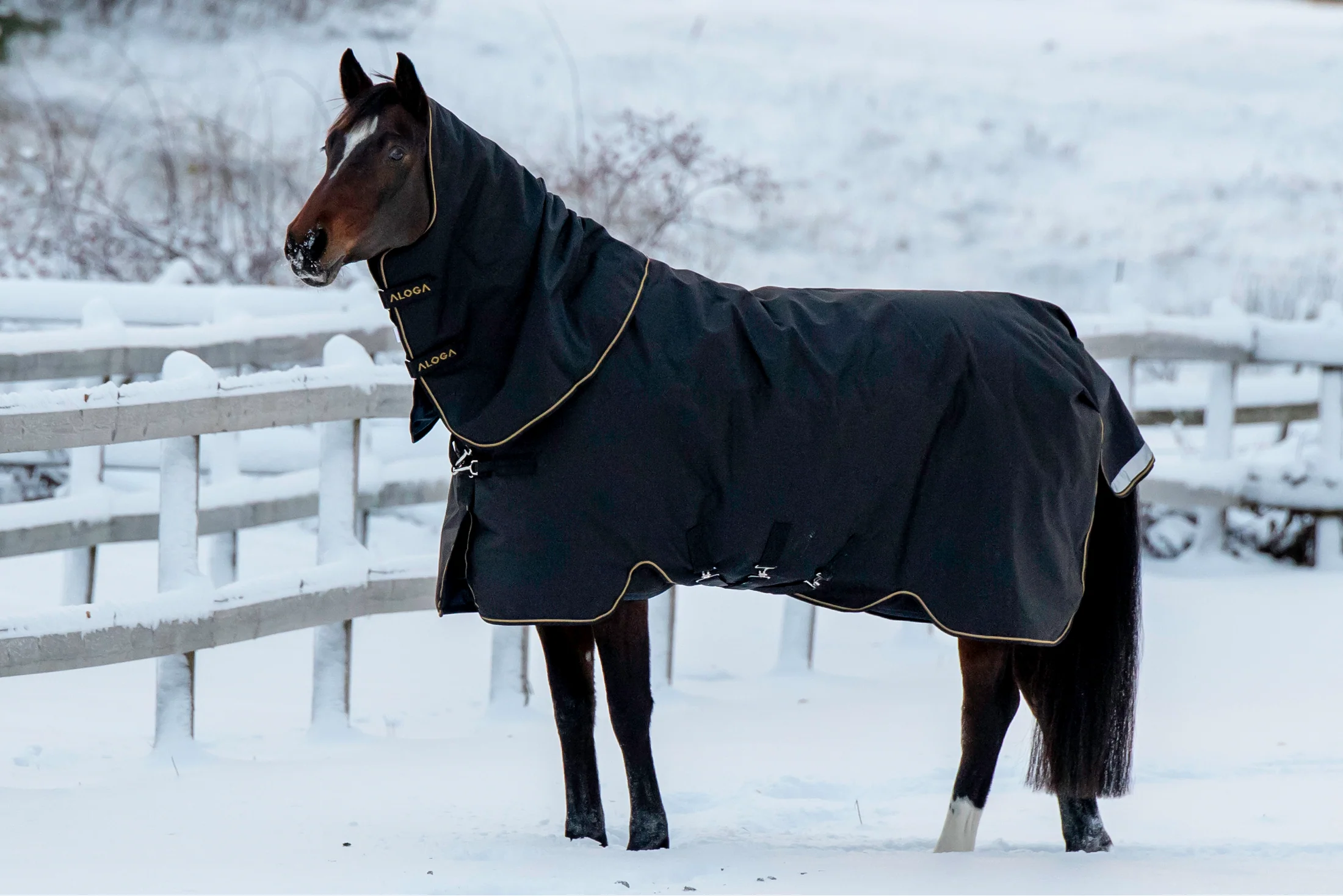 Aloga Pro Turnout 350G & Hood - Including Custom Embroidery