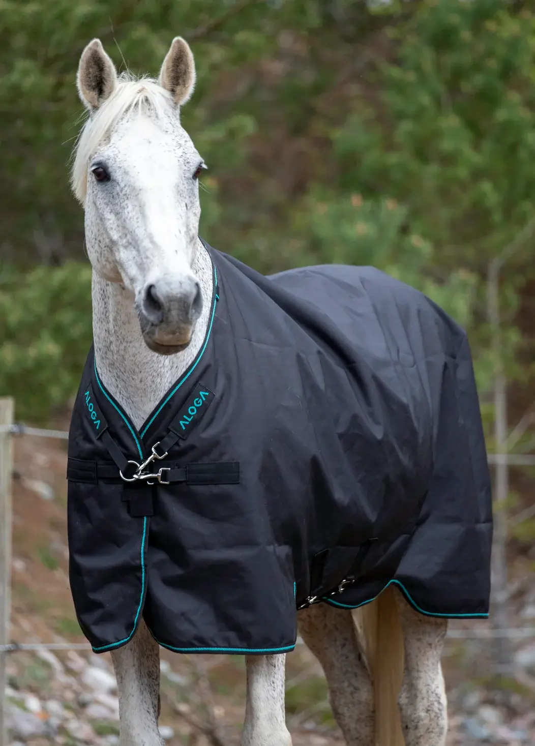 Aloga Pro Turnout 0G - Including Custom Embroidery