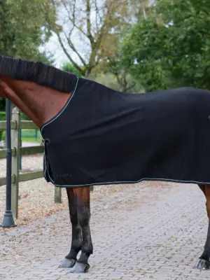 Aloga Pro Wool Blanket