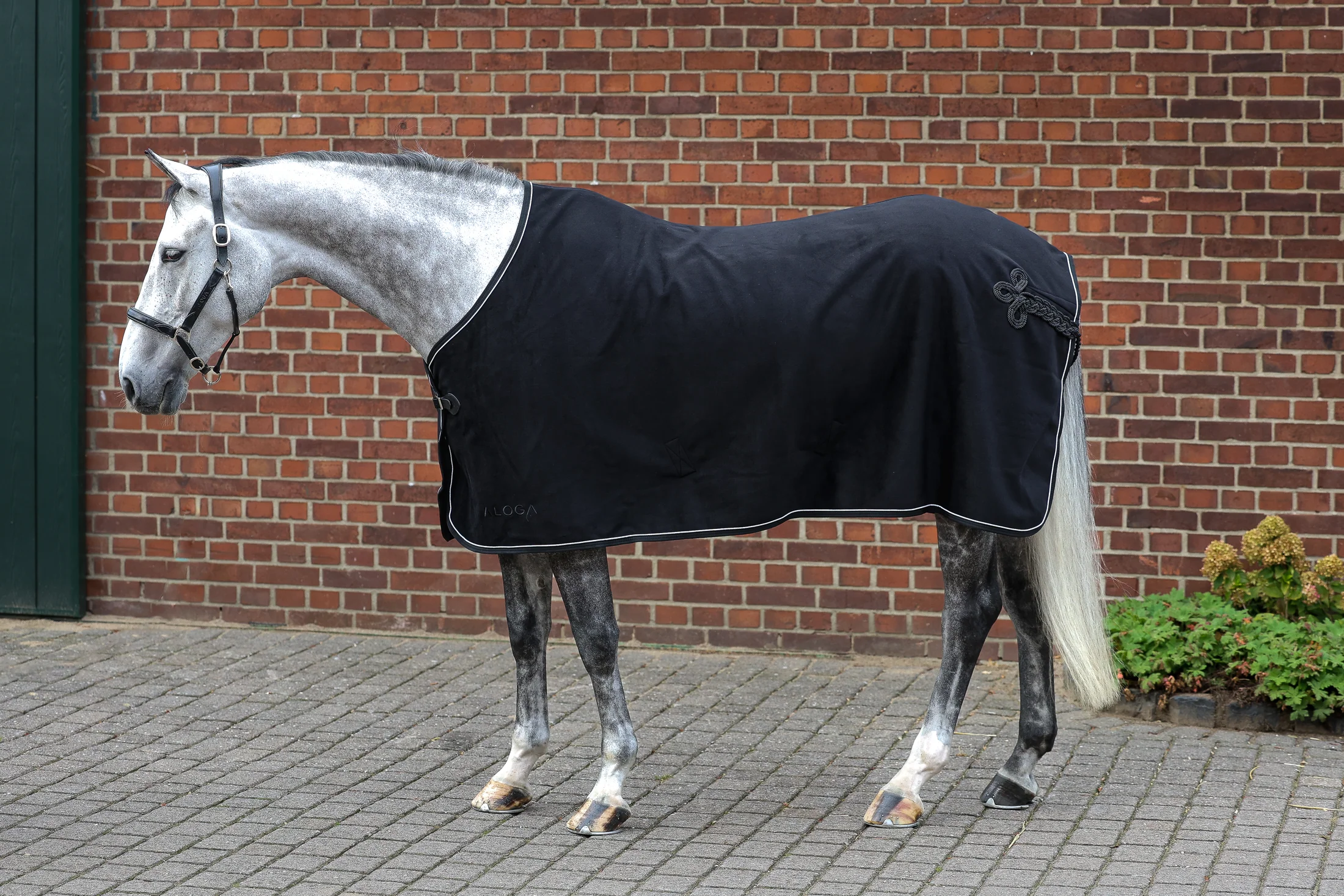 Aloga Pro Wool Blanket - Including Custom Embroidery