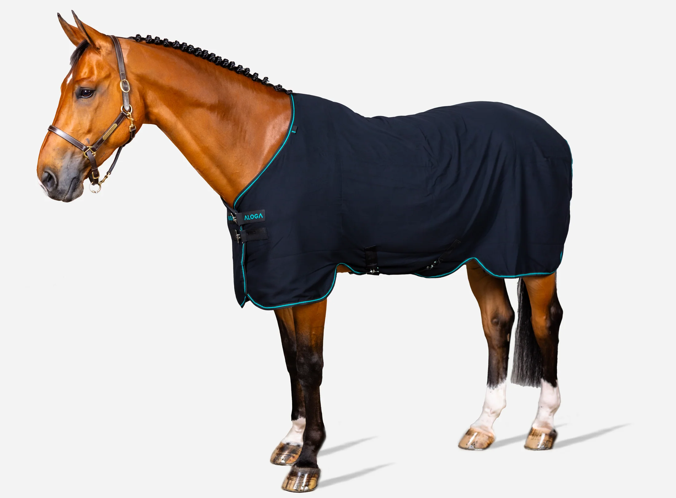 Aloga Versatile Sheet - Including Custom Embroidery