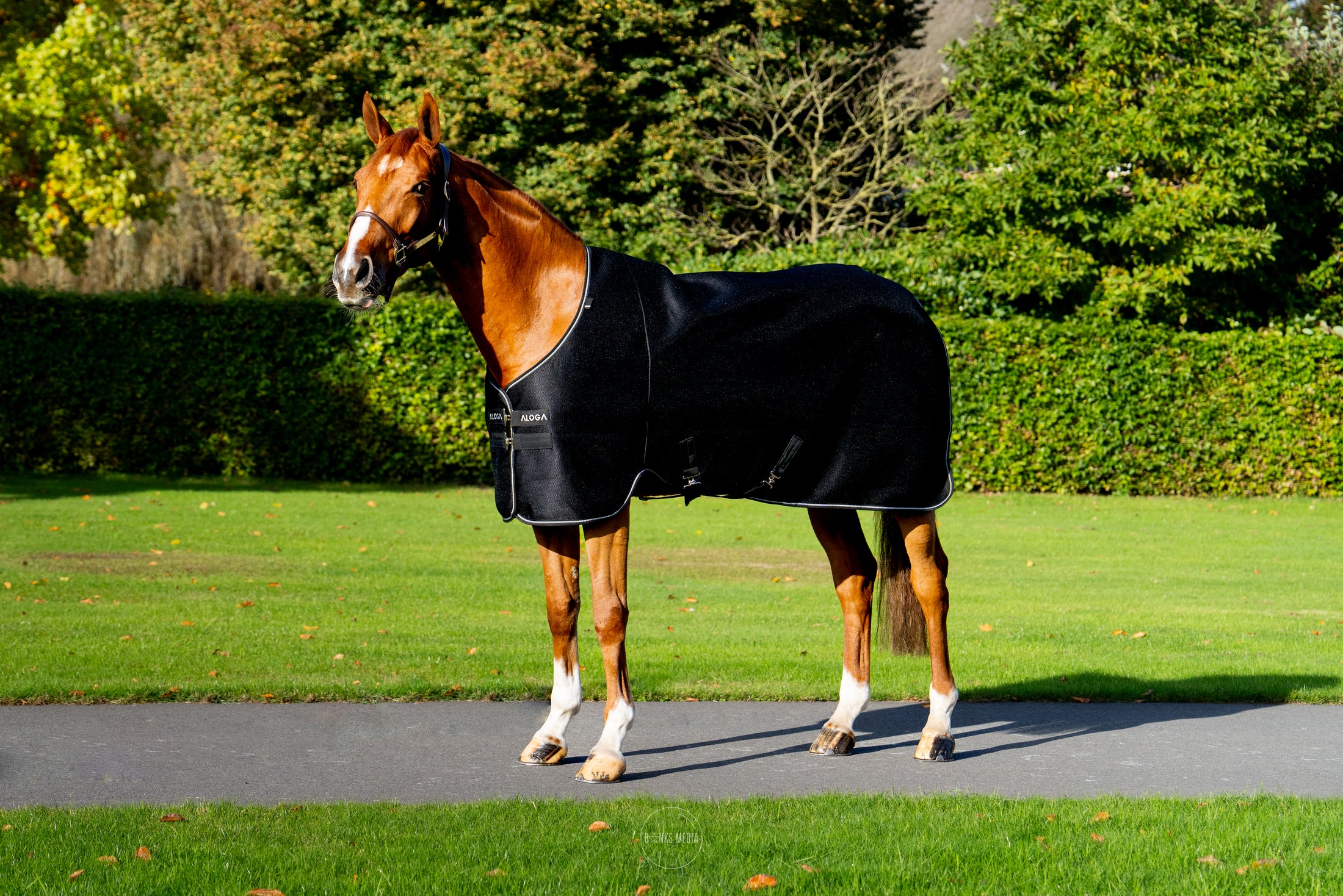 Aloga Pro Mesh Cooler Blanket - Including Custom Embroidery