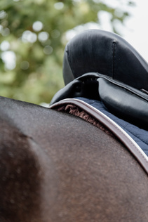 Kentucky Skin Friendly Saddle Pad Horse