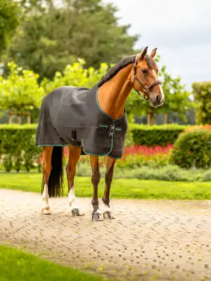 Pro Mesh Cooler Blanket Horse