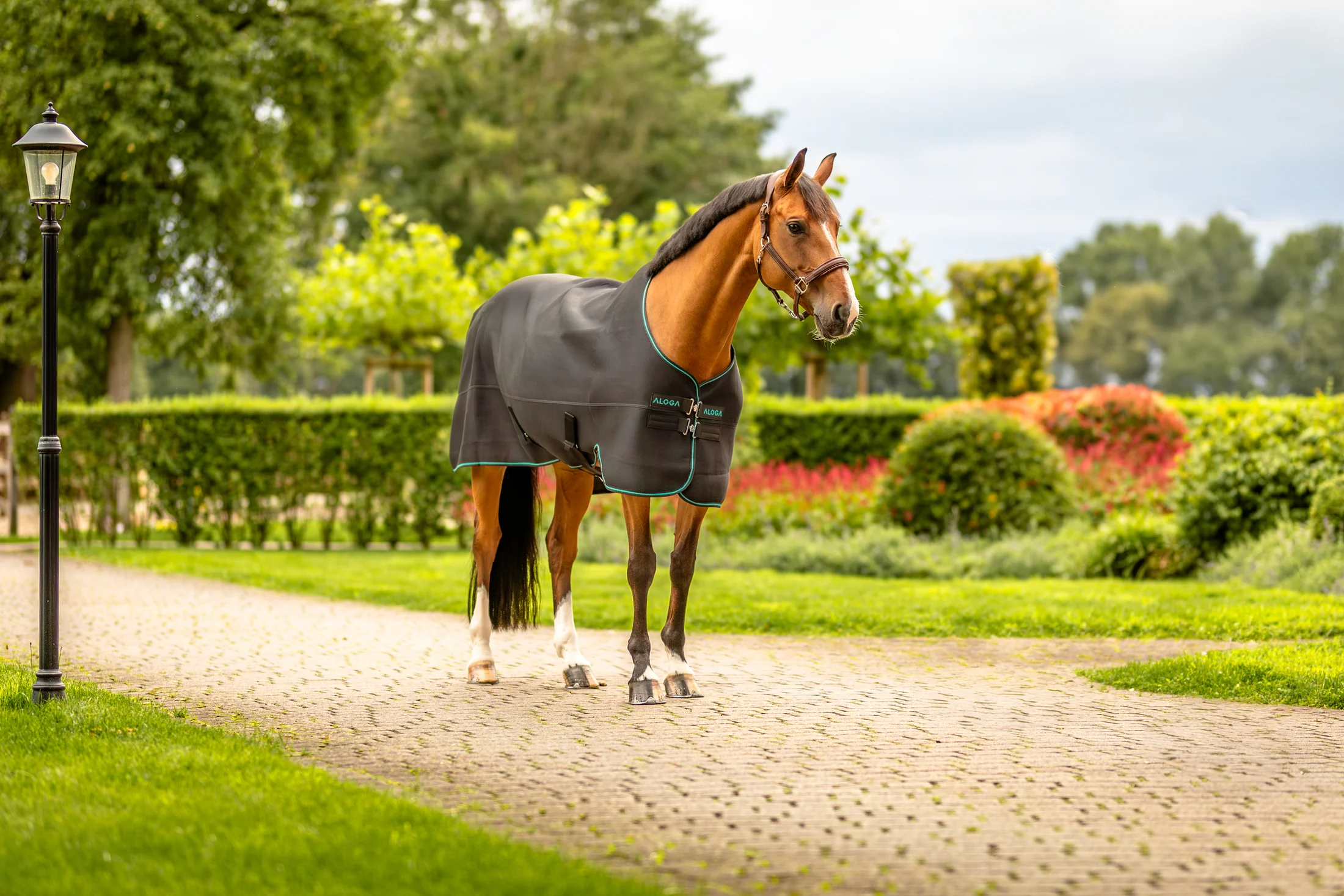 Aloga Pro Mesh Cooler Blanket - Including Custom Embroidery