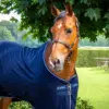 Aloga Fleece Blanket Horse