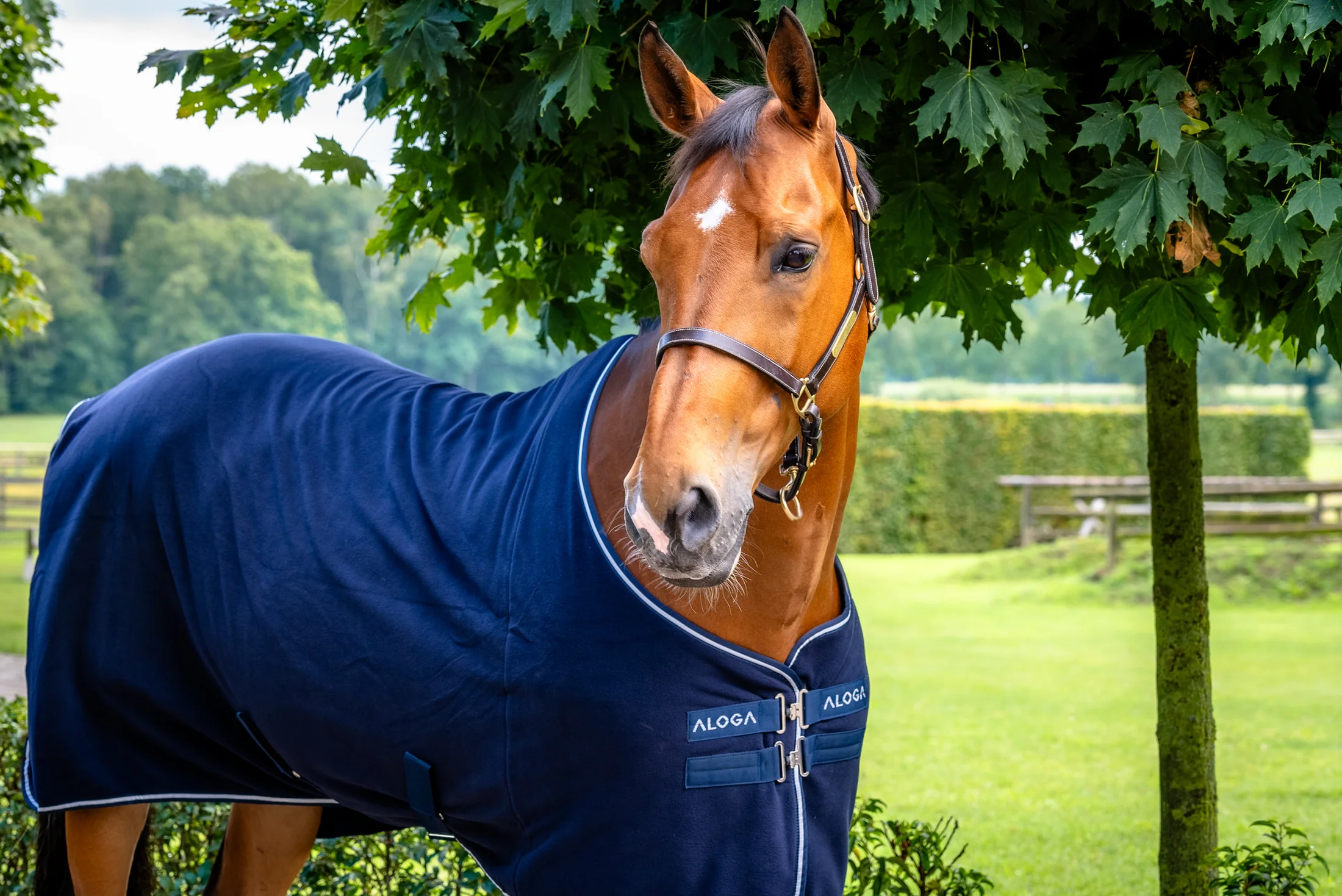 Aloga Fleece Blanket - Including Custom Embroidery