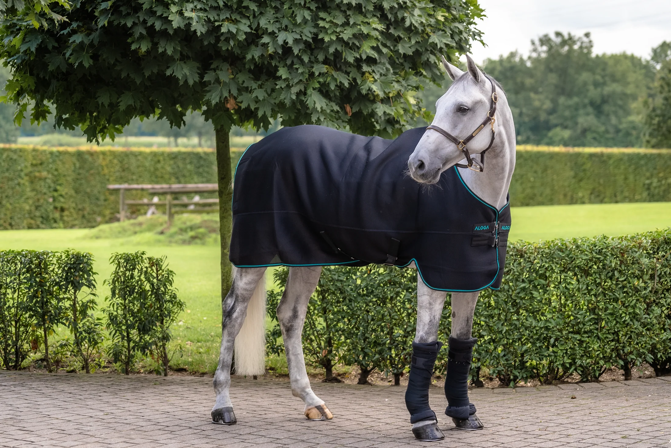 Aloga Pro Mesh Cooler Blanket - Including Custom Embroidery