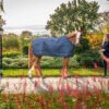 Aloga Horse Blanket Liner 200G