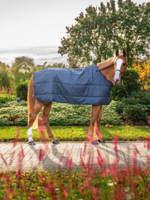 Aloga Horse Blanket Liner 200G
