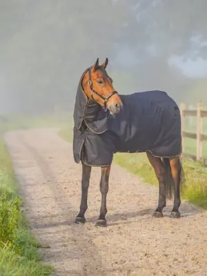 Aloga Turnout Horse Blanket