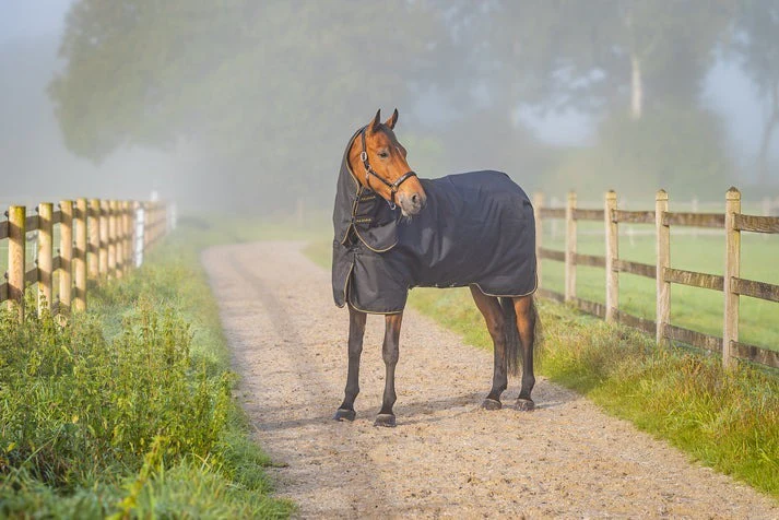 Aloga Pro Turnout Blanket 200G + Hood - Including Custom Embroidery