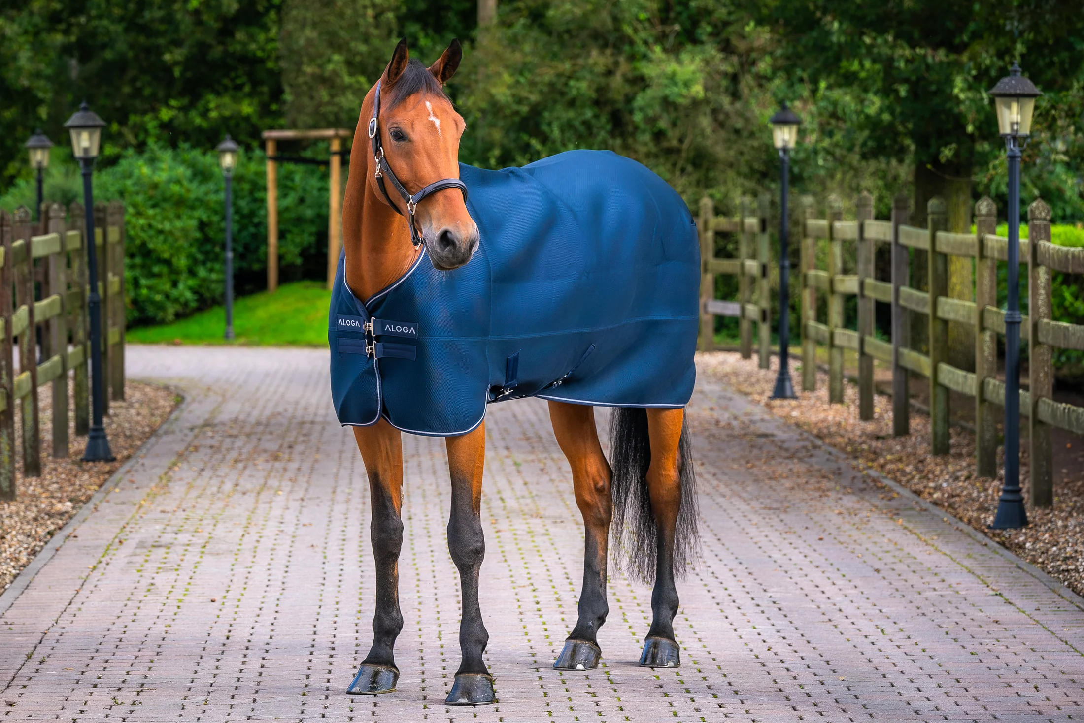 Aloga Pro Mesh Cooler Blanket - Including Custom Embroidery