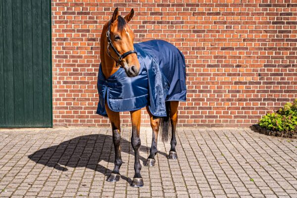 Aloga Horse Blanket Liner 350G