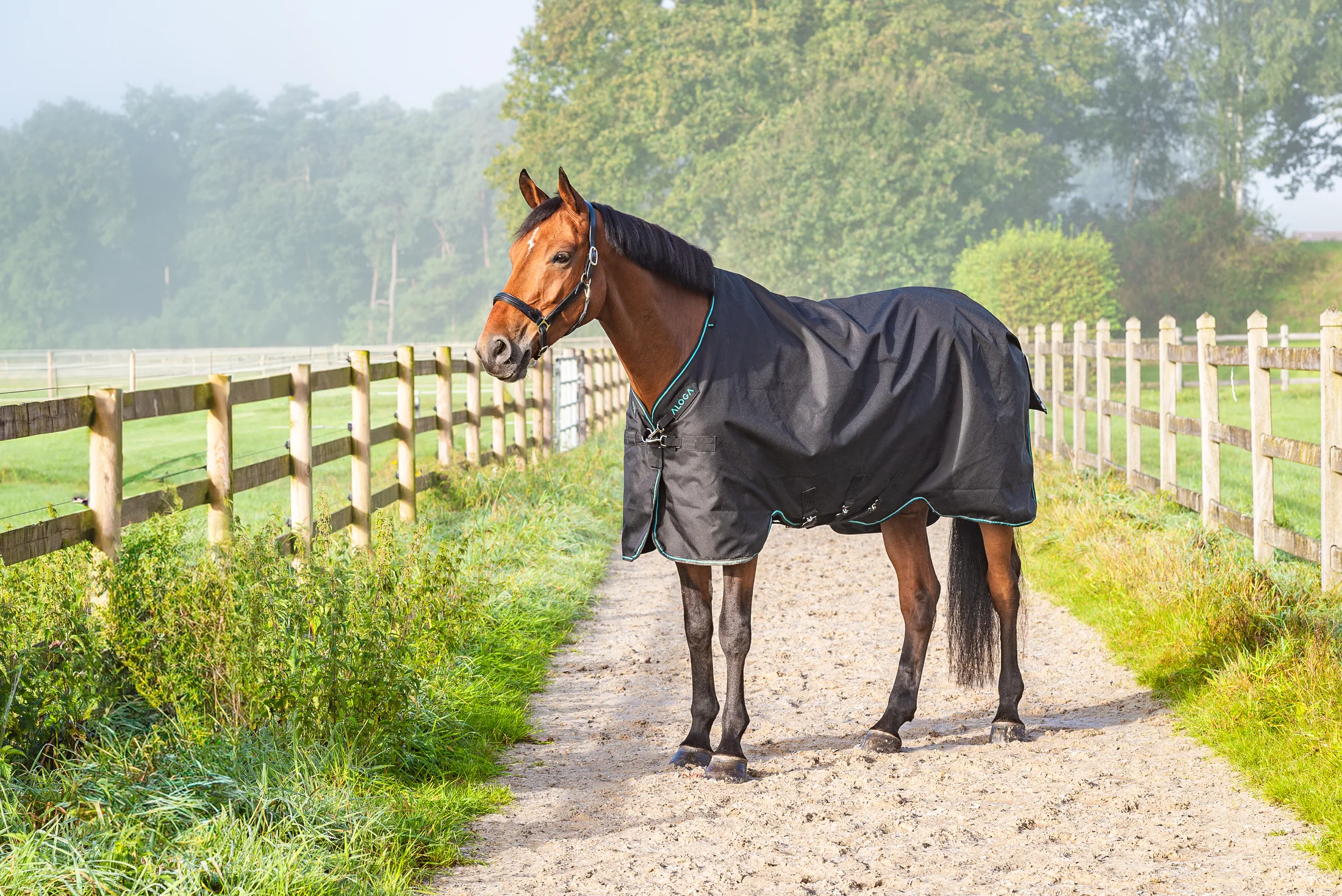 Aloga Pro Turnout Blanket 200G - Including Custom Embroidery