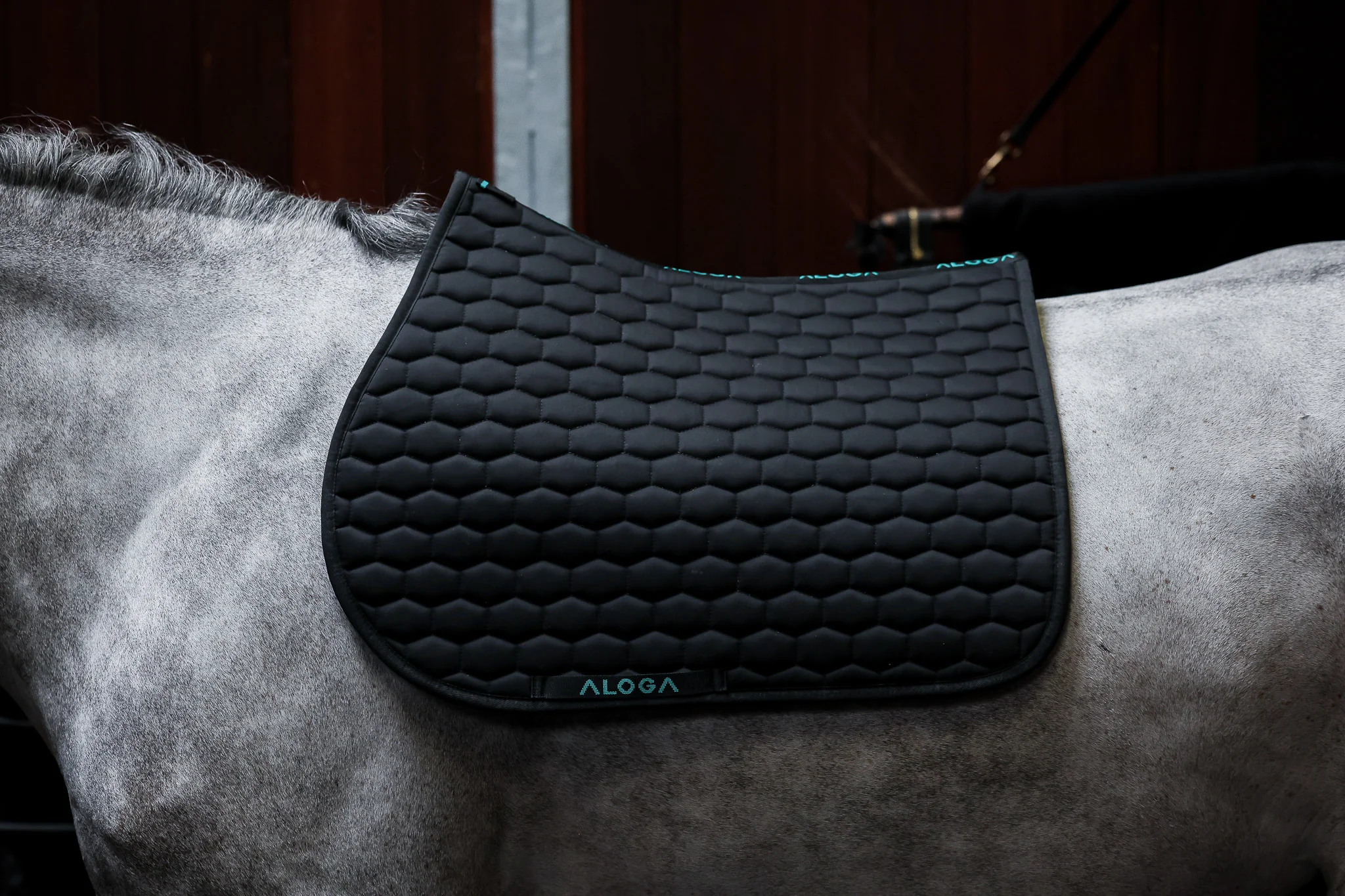 Aloga Saddlepad Jumping - Including Custom Embroidery