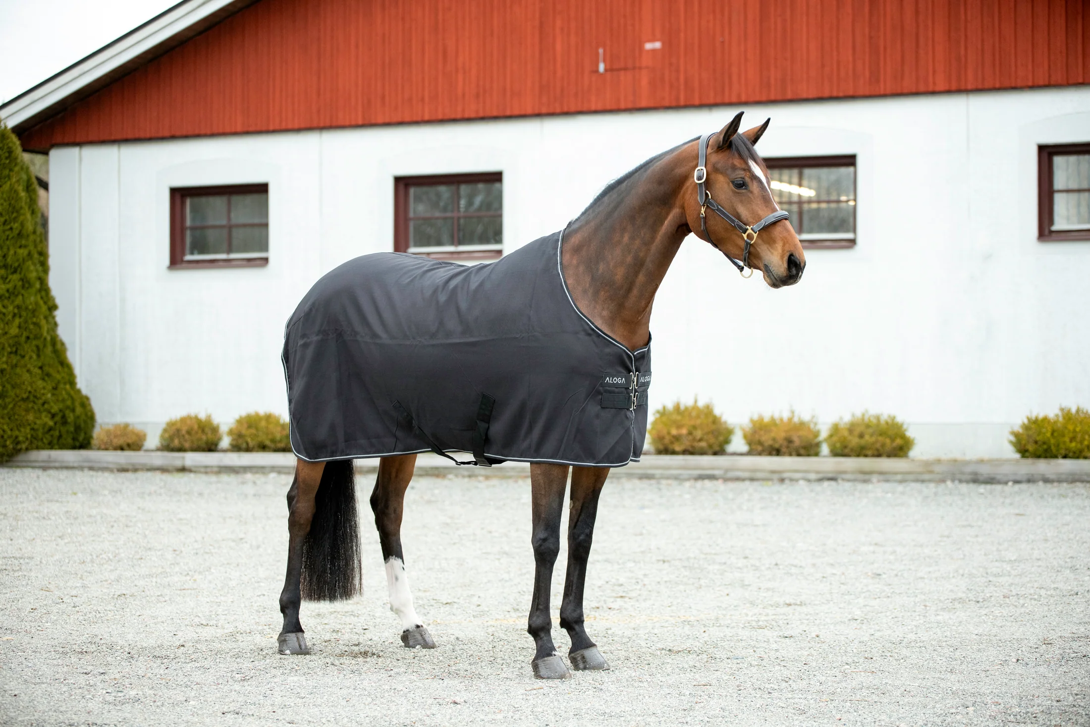 Aloga Pro Stable Blanket 0G - Including Custom Embroidery