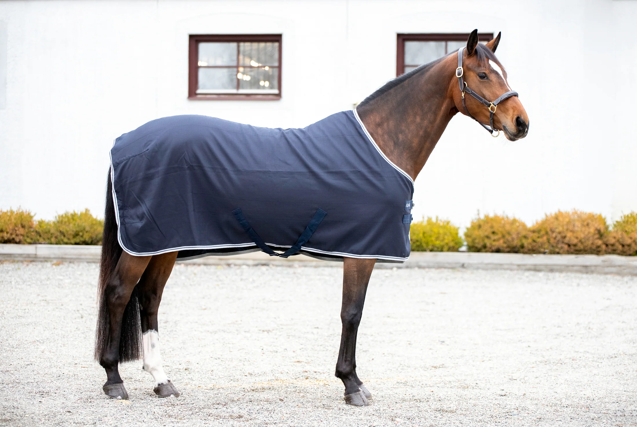 Aloga Pro Stable Blanket 0G - Including Custom Embroidery
